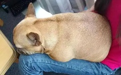 床上运动太激烈_哔哩哔哩_bilibili原声动漫